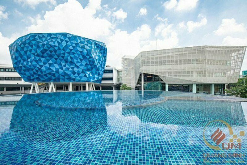 Quang Minh thi công công trình gạch mosaic hồ bơi tại trường đại học BUV 